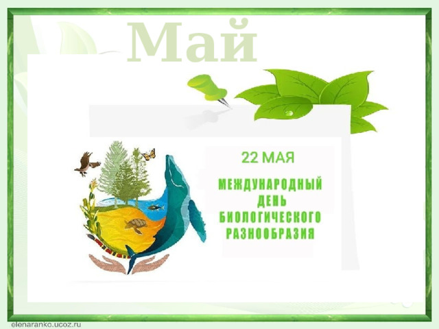 Май  