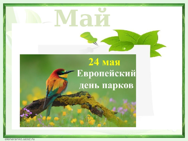 Май  