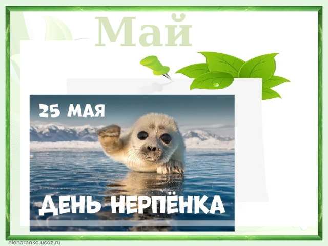 Май  