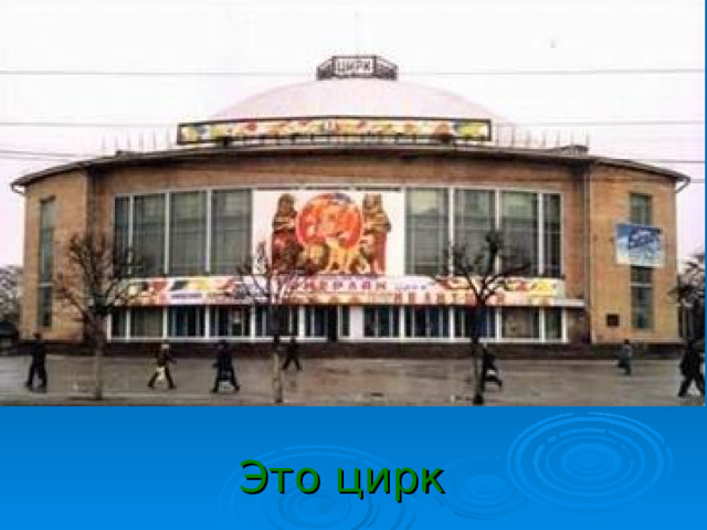 Это цирк 