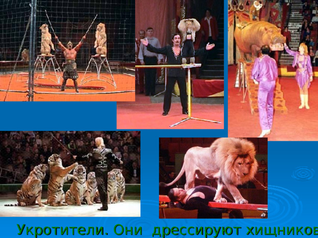 Укротители. Они дрессируют хищников, 