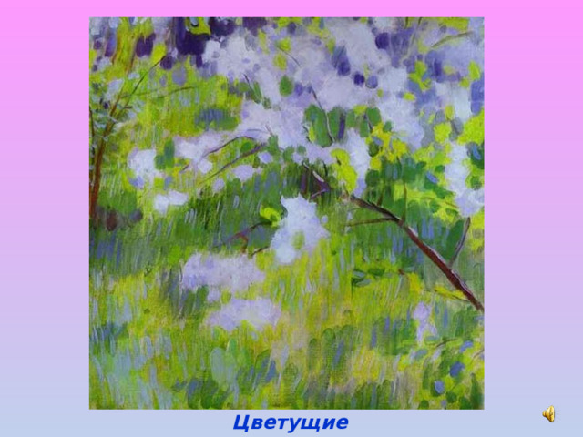 Цветущие вишни 
