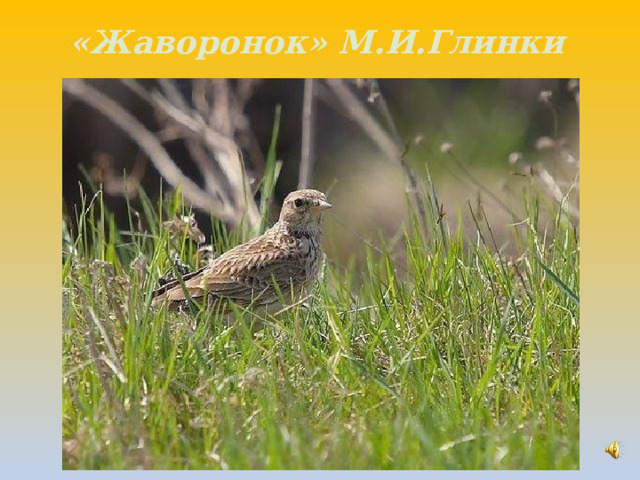 «Жаворонок» М.И.Глинки 