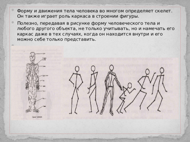 Форму и движения тела человека во многом определяет скелет. Он также играет роль каркаса в строении фигуры. Полезно, передавая в рисунке форму человеческого тела и любого другого объекта, не только учитывать, но и намечать его каркас даже в тех случаях, когда он находится внутри и его можно себе только представить.  