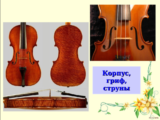 Корпус, гриф, струны 