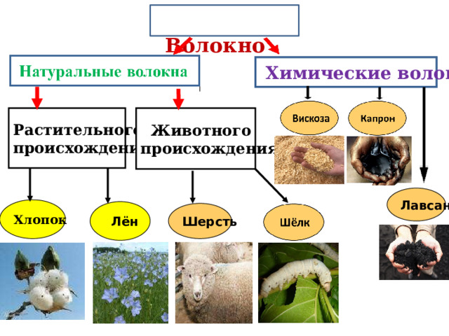  Волокно  Химические волокна  Животного Растительного происхождения происхождения Лавсан Хлопок  Лён Шерсть Повторение пройденного материала. Вопрос: на какие две группы делятся волокна? Ответ: все волокна делятся на две группы: натуральные волокна и химические волокна.  