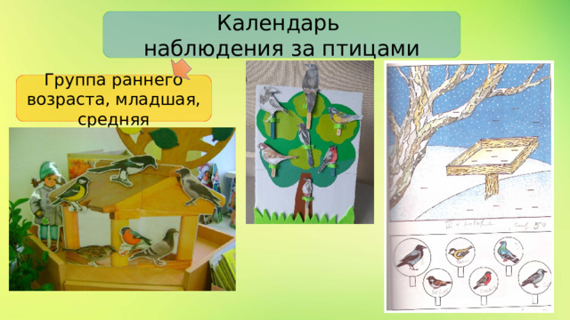 Календарь наблюдения за птицами Группа раннего возраста, младшая, средняя 