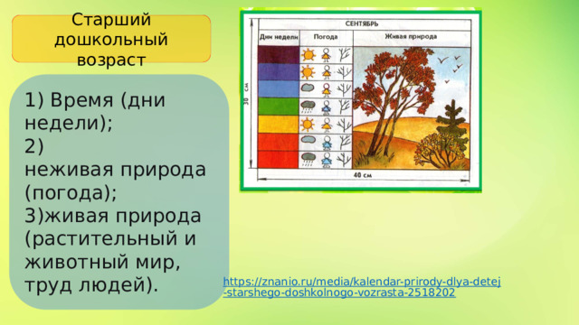 Старший дошкольный возраст 1) Время (дни недели);  2) неживая природа (погода);  3)живая природа (растительный и животный мир, труд людей). https://znanio.ru/media/kalendar-prirody-dlya-detej-starshego-doshkolnogo-vozrasta-2518202 