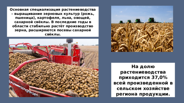 Основная специализация растениеводства – выращивание зерновых культур (рожь, пшеница), картофеля, льна, овощей, сахарной свёклы. В последние годы в области стабильно растёт производство зерна, расширяются посевы сахарной свёклы. На долю растениеводства приходится 37,0% всей произведенной в сельском хозяйстве региона продукции. 
