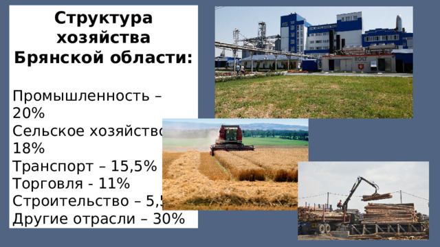 Структура хозяйства Брянской области:  Промышленность – 20% Сельское хозяйство – 18% Транспорт – 15,5% Торговля - 11% Строительство – 5,5% Другие отрасли – 30% 