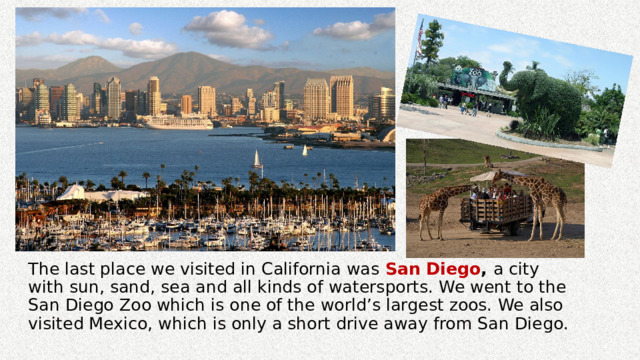 The last place we visited in California was San Diego , a city with sun, sand, sea and all kinds of watersports. We went to the San Diego Zoo which is one of the world’s largest zoos. We also visited Mexico, which is only a short drive away from San Diego. 