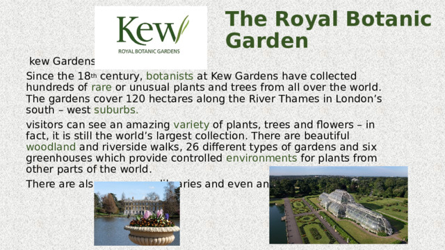 The Royal Botanic Garden  kew Gardens Since the 18 th century, botanists at Kew Gardens have collected hundreds of rare or unusual plants and trees from all over the world. The gardens cover 120 hectares along the River Thames in London’s south – west suburbs. visitors can see an amazing variety of plants, trees and flowers – in fact, it is still the world’s largest collection. There are beautiful woodland and riverside walks, 26 different types of gardens and six greenhouses which provide controlled environments for plants from other parts of the world. There are also museums, libraries and even an art gallery. 