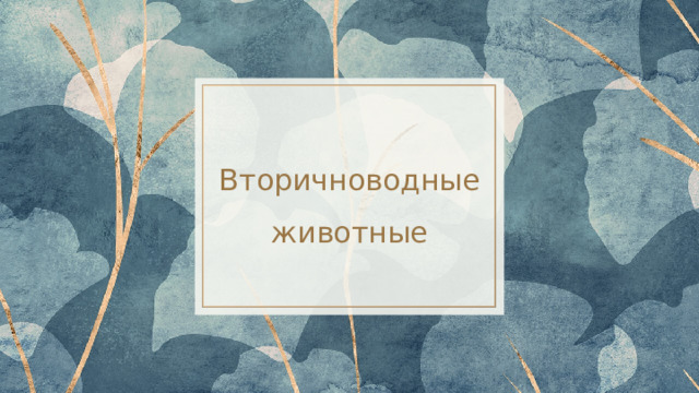 Вторичноводные животные 