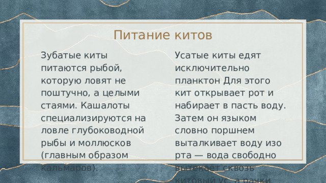 Питание китов Зубатые киты питаются рыбой, которую ловят не поштучно, а целыми стаями. Кашалоты специализируются на ловле глубоководной рыбы и моллюсков (главным образом кальмаров). Усатые киты едят исключительно планктон Для этого кит открывает рот и набирает в пасть воду. Затем он языком словно поршнем выталкивает воду изо рта — вода свободно вытекает сквозь китовый ус, а рачки остаются. 