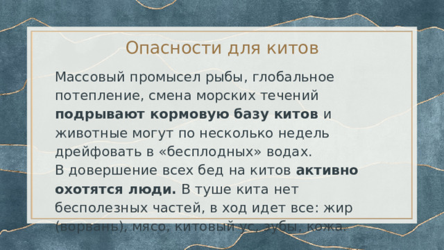 Опасности для китов Массовый промысел рыбы, глобальное потепление, смена морских течений подрывают кормовую базу китов и животные могут по несколько недель дрейфовать в «бесплодных» водах. В довершение всех бед на китов активно охотятся люди. В туше кита нет бесполезных частей, в ход идет все: жир (ворвань), мясо, китовый ус, зубы, кожа. 