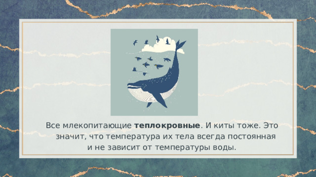 Все млекопитающие теплокровные . И киты тоже. Это значит, что температура их тела всегда постоянная и не зависит от температуры воды. 