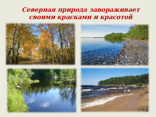Северная природа завораживает своими красками и красотой 