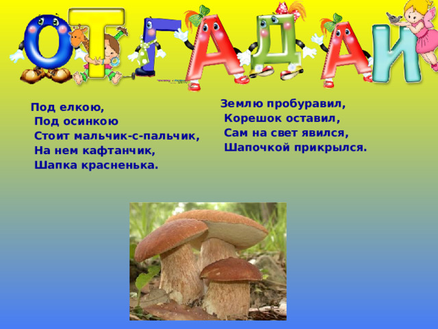 Землю пробуравил,  Корешок оставил,  Сам на свет явился,  Шапочкой прикрылся.   Под елкою,  Под осинкою  Стоит мальчик-с-пальчик,  На нем кафтанчик,  Шапка красненька.   