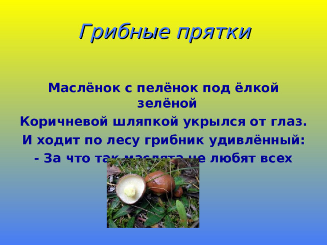 Грибные прятки Маслёнок с пелёнок под ёлкой зелёной Коричневой шляпкой укрылся от глаз. И ходит по лесу грибник удивлённый: - За что так маслята не любят всех нас? 