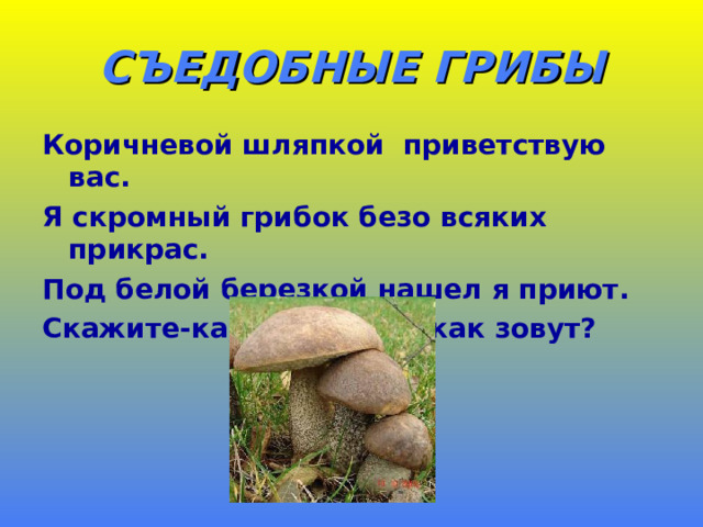 СЪЕДОБНЫЕ ГРИБЫ Коричневой шляпкой приветствую вас. Я скромный грибок безо всяких прикрас. Под белой березкой нашел я приют. Скажите-ка, дети, меня как зовут? 