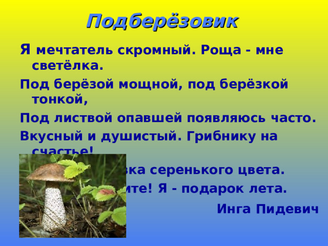 Подберёзовик   Я мечтатель скромный. Роща - мне светёлка. Под берёзой мощной, под берёзкой тонкой, Под листвой опавшей появляюсь часто. Вкусный и душистый. Грибнику на счастье! Клейкая головка серенького цвета. Вы меня найдите! Я - подарок лета. Инга Пидевич   