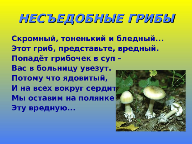 НЕСЪЕДОБНЫЕ ГРИБЫ Скромный, тоненький и бледный... Этот гриб, представьте, вредный. Попадёт грибочек в суп – Вас в больницу увезут. Потому что ядовитый, И на всех вокруг сердитый. Мы оставим на полянке Эту вредную... 