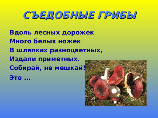СЪЕДОБНЫЕ ГРИБЫ Вдоль лесных дорожек Много белых ножек В шляпках разноцветных, Издали приметных. Собирай, не мешкай! Это ...  
