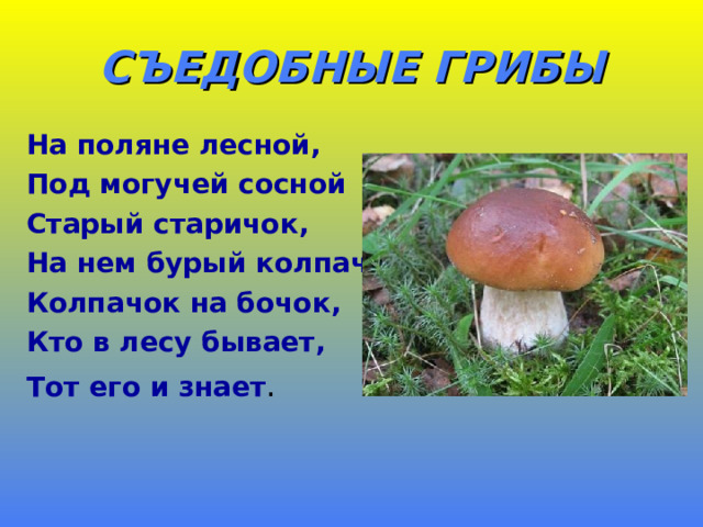 СЪЕДОБНЫЕ ГРИБЫ На поляне лесной, Под могучей сосной Старый старичок, На нем бурый колпачок Колпачок на бочок, Кто в лесу бывает, Тот его и знает . 