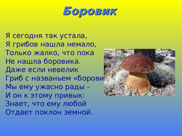 Боровик   Я сегодня так устала, Я грибов нашла немало, Только жалко, что пока Не нашла боровика. Даже если невелик Гриб с названьем «боровик», Мы ему ужасно рады - И он к этому привык: Знает, что ему любой Отдает поклон земной.  