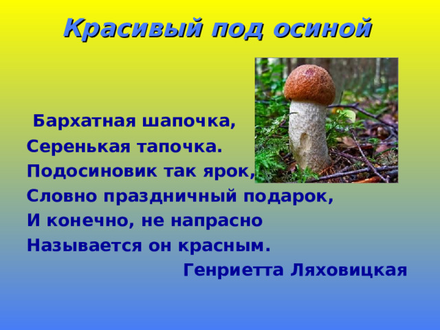 Красивый под осиной    Бархатная шапочка, Серенькая тапочка. Подосиновик так ярок, Словно праздничный подарок, И конечно, не напрасно Называется он красным. Генриетта Ляховицкая 