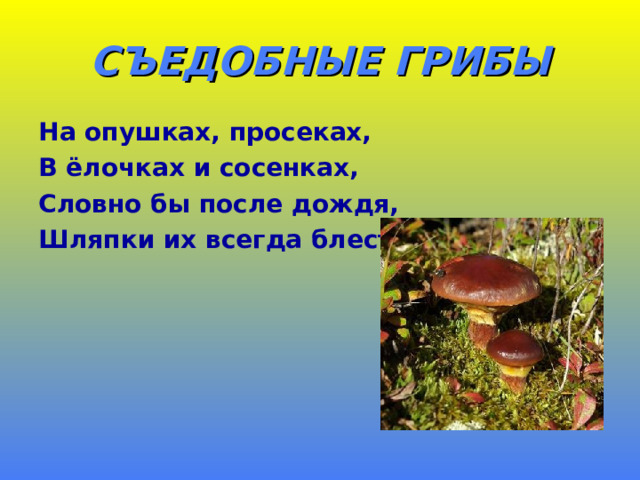 СЪЕДОБНЫЕ ГРИБЫ На опушках, просеках, В ёлочках и сосенках, Словно бы после дождя, Шляпки их всегда блестят . 
