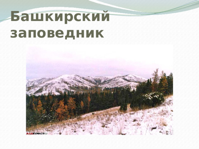 Башкирский заповедник 