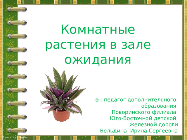 Комнатные растения в зале ожидания Подготовила : педагог дополнительного образования Поворинского филиала Юго-Восточной детской железной дороги  Бельдина Ирина Сергеевна  