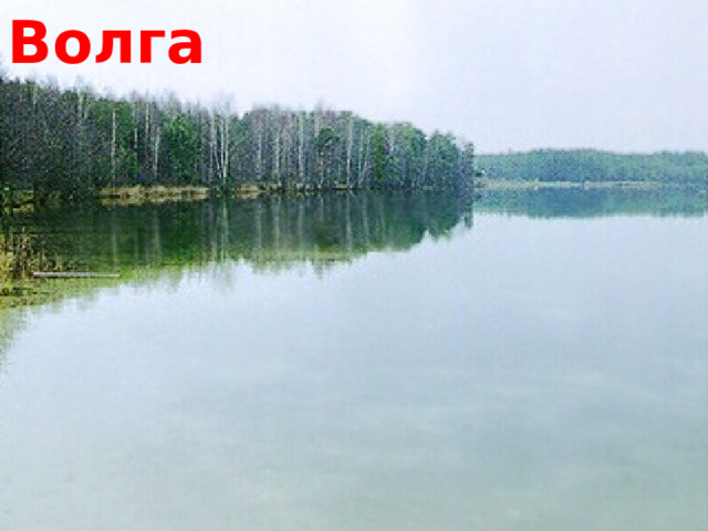 Волга 