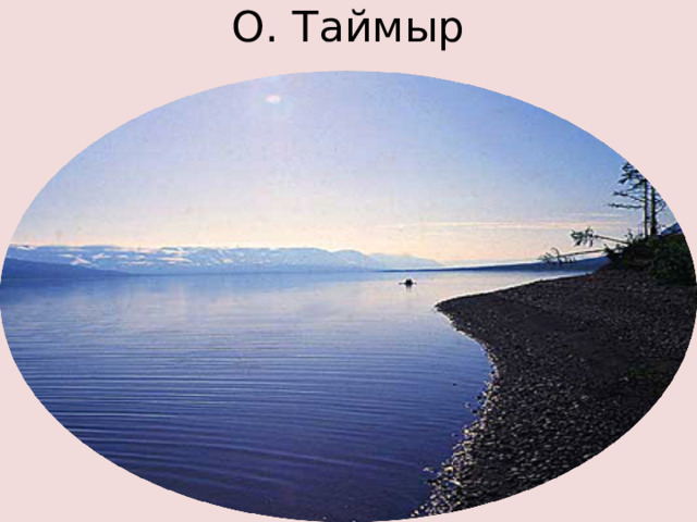 О. Таймыр 
