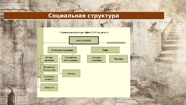 Социальная структура 