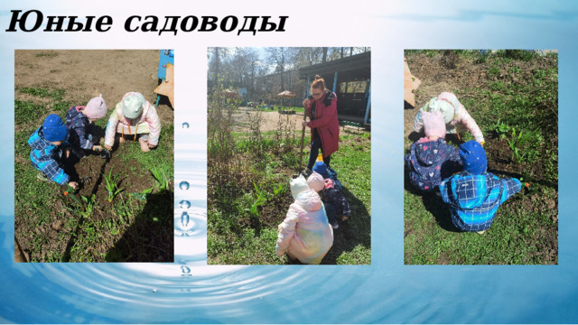 Художественное творчество Юные садоводы 