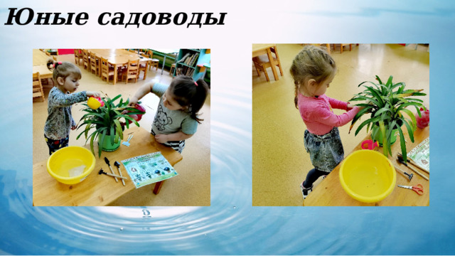 Художественное творчество Юные садоводы 