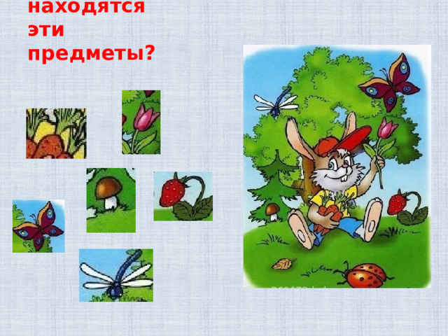 Где находятся эти предметы? 
