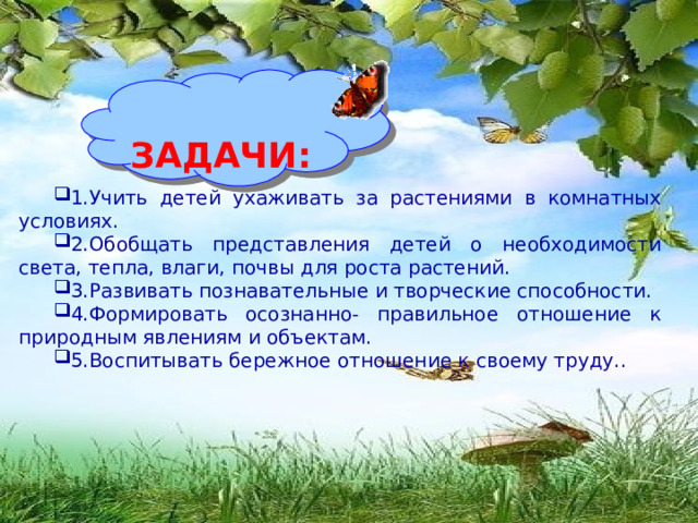   ЗАДАЧИ:    1.Учить детей ухаживать за растениями в комнатных условиях. 2.Обобщать представления детей о необходимости света, тепла, влаги, почвы для роста растений. 3.Развивать познавательные и творческие способности. 4.Формировать осознанно- правильное отношение к природным явлениям и объектам. 5.Воспитывать бережное отношение к своему труду.. 
