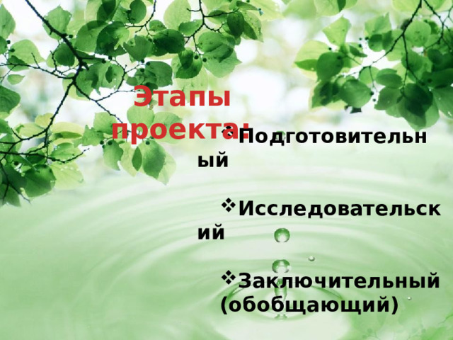 Этапы проекта: Подготовительный  Исследовательский  Заключительный (обобщающий) 