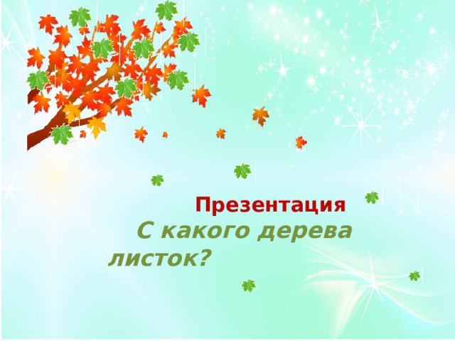       Презентация  С какого дерева листок? 