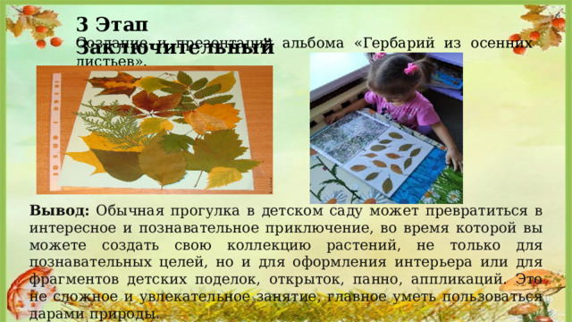 3 Этап Заключительный Создание и презентация альбома «Гербарий из осенних листьев». Вывод: Обычная прогулка в детском саду может превратиться в интересное и познавательное приключение, во время которой вы можете создать свою коллекцию растений, не только для познавательных целей, но и для оформления интерьера или для фрагментов детских поделок, открыток, панно, аппликаций. Это не сложное и увлекательное занятие, главное уметь пользоваться дарами природы. 