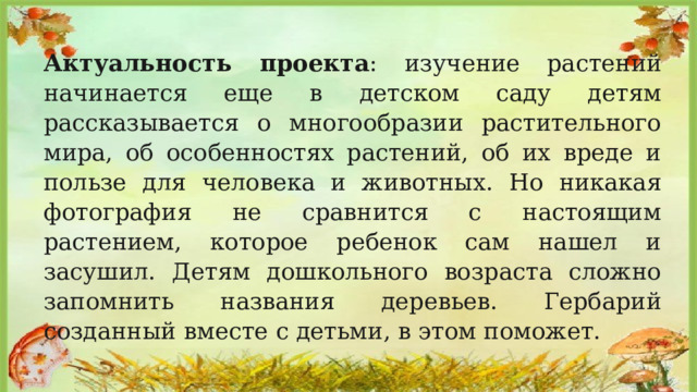 Актуальность проекта : изучение растений начинается еще в детском саду детям рассказывается о многообразии растительного мира, об особенностях растений, об их вреде и пользе для человека и животных. Но никакая фотография не сравнится с настоящим растением, которое ребенок сам нашел и засушил. Детям дошкольного возраста сложно запомнить названия деревьев. Гербарий созданный вместе с детьми, в этом поможет. 