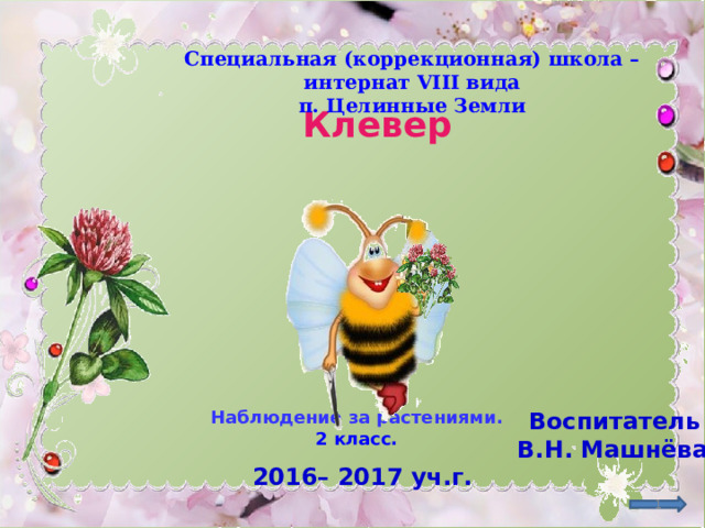 Специальная (коррекционная) школа – интернат VIII вида п. Целинные Земли Клевер http://fotohomka.ru/images/Nov/28/2bfb87fe49a8f5a765fe657b22db0354/mini_3.jpg Воспитатель Наблюдение за растениями. 2 класс. В.Н. Машнёва 2016– 2017 уч.г.   