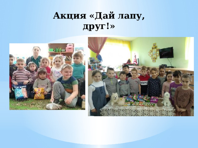 Акция «Дай лапу, друг!» 