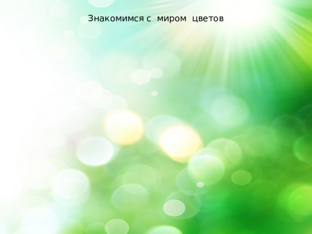 Знакомимся с миром цветов 