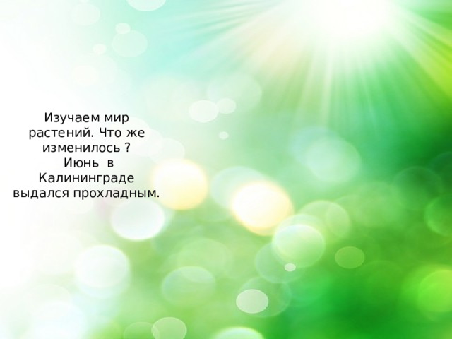 Изучаем мир растений. Что же изменилось ?  Июнь в Калининграде выдался прохладным. 