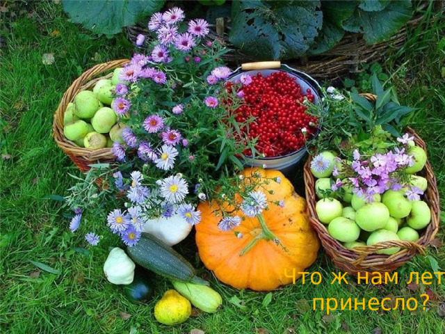 Что ж нам лето принесло? 