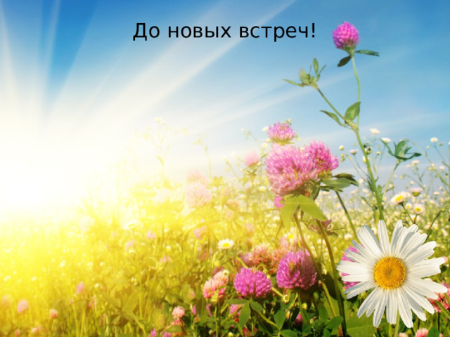 До новых встреч!   